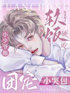 团宠小哭包,小少爷他软饭硬吃